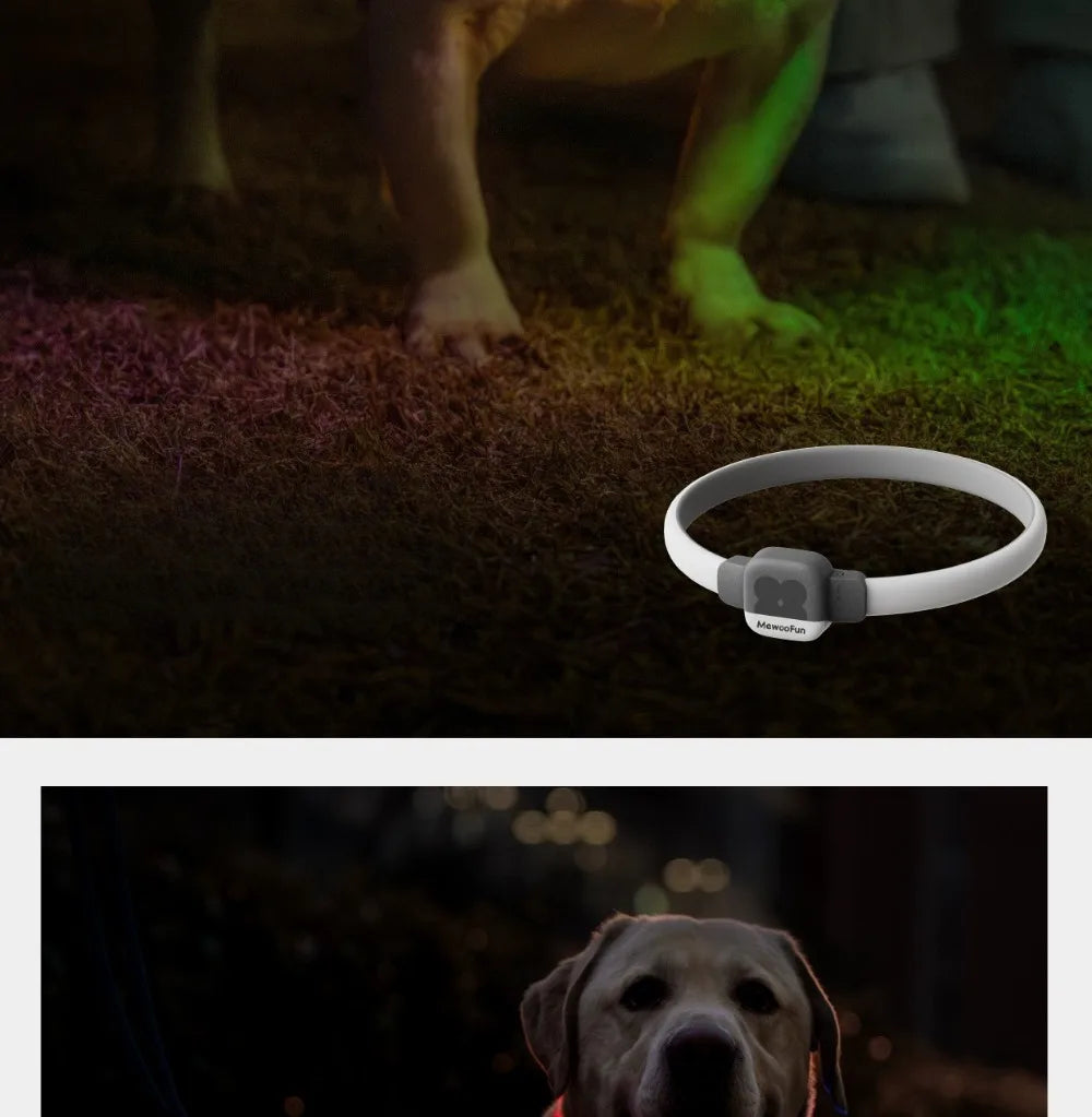 Pet Collar Silicone