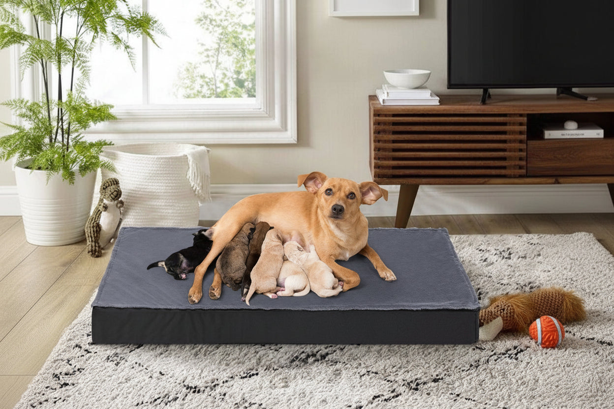 Orthopedic Dog Bed for Large Dogs with Waterproof Lining and Non-Slip Base, Machine Washable