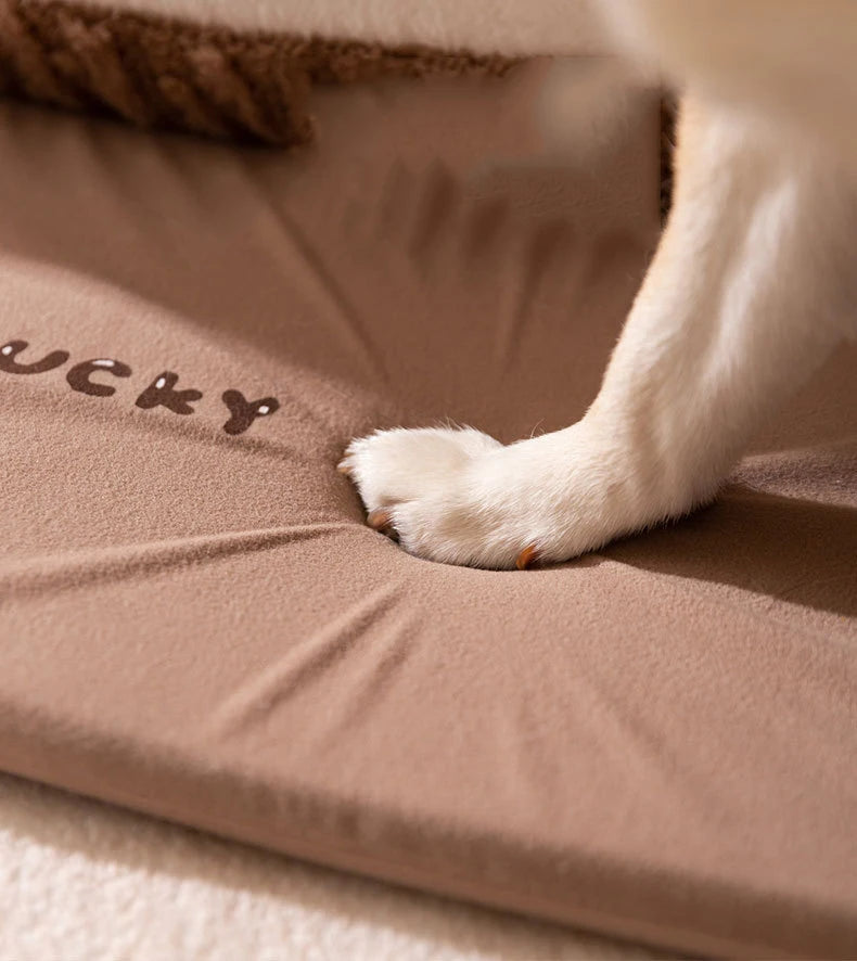 Pet Dog House Medium