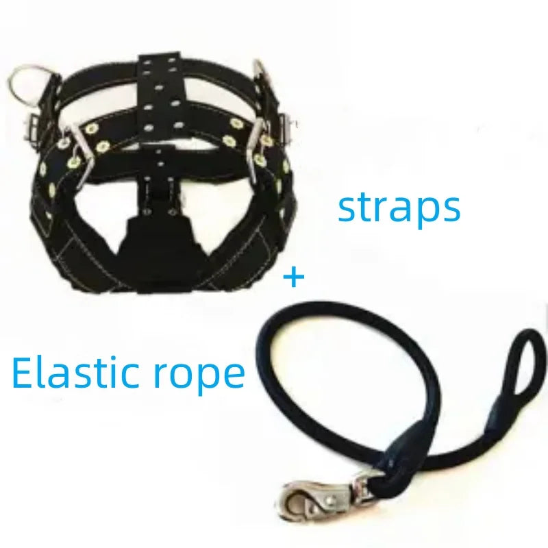 Dog Harness with Handle and Lead Adjustable Control Vest Durable Design also for pulling a slede