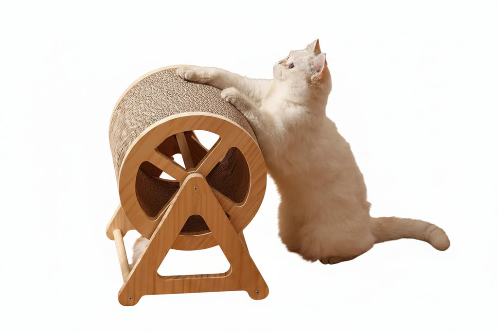 Pet Cat Treadmill Interactive