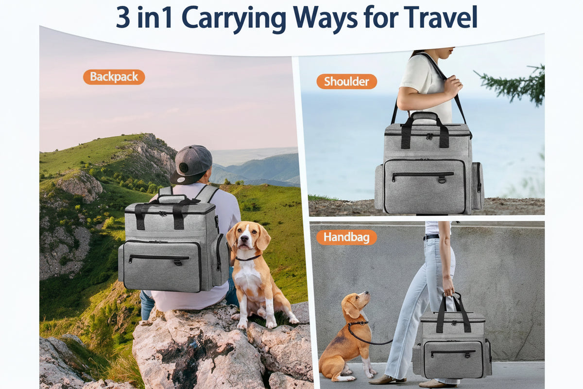 Pet Travel Bag