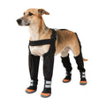 Pet Dog Boots XS