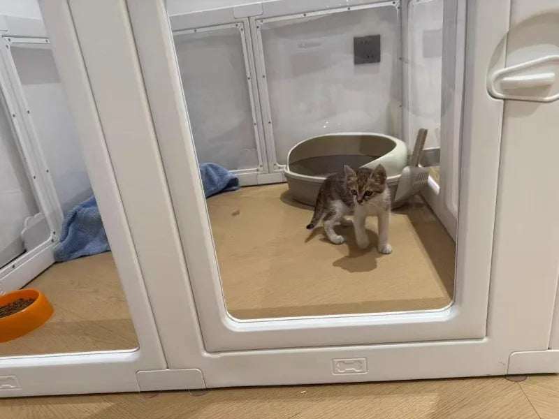 Pet Pet Fence Transparent Small