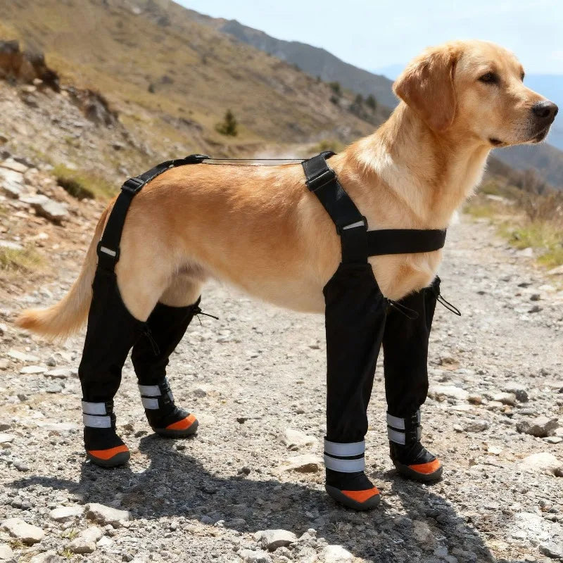 Pet Dog Boots XS
