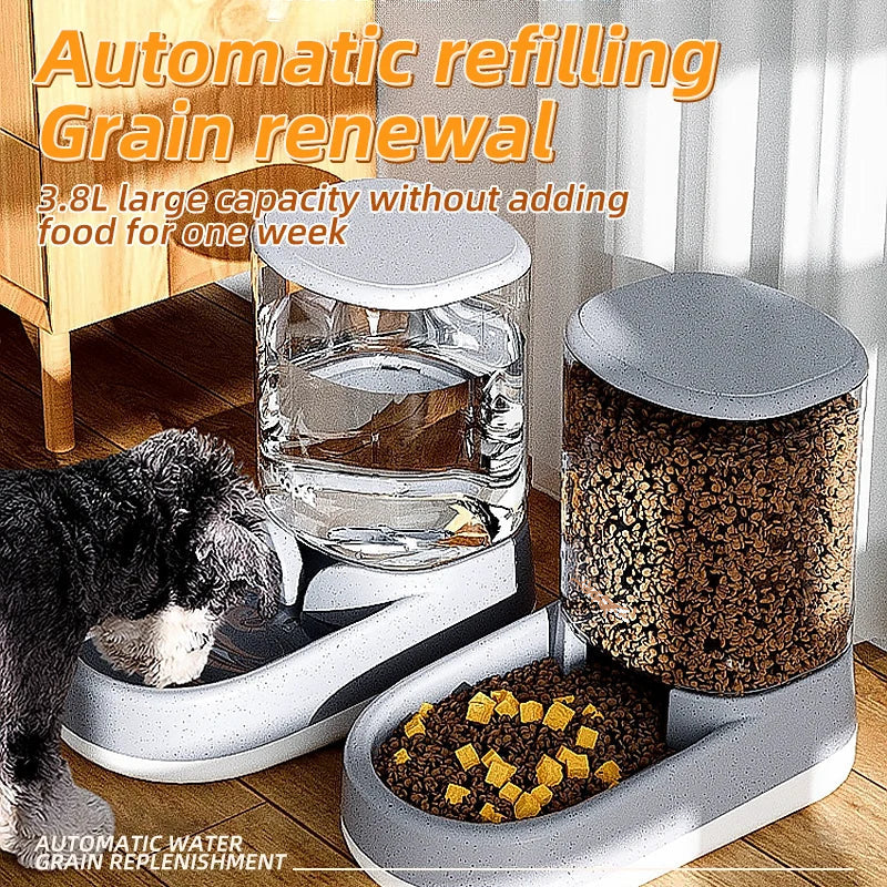 Pet Feeder Large