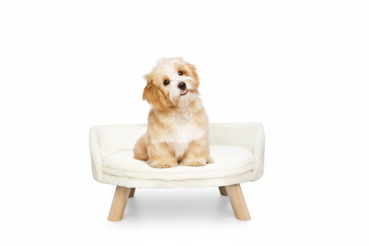 Pet Couch Bed Wooden White Small