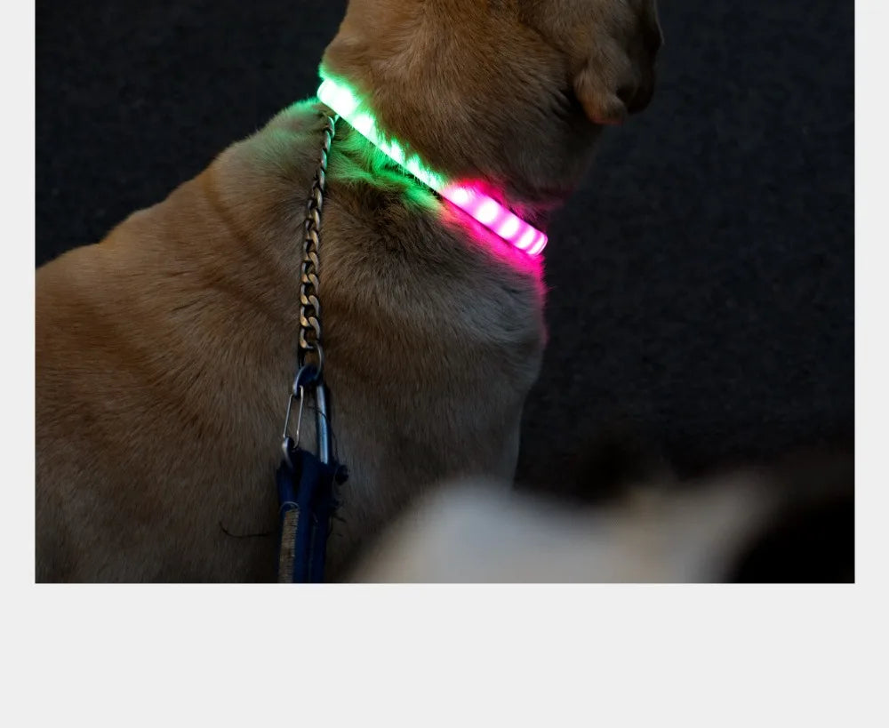 Pet Collar Silicone