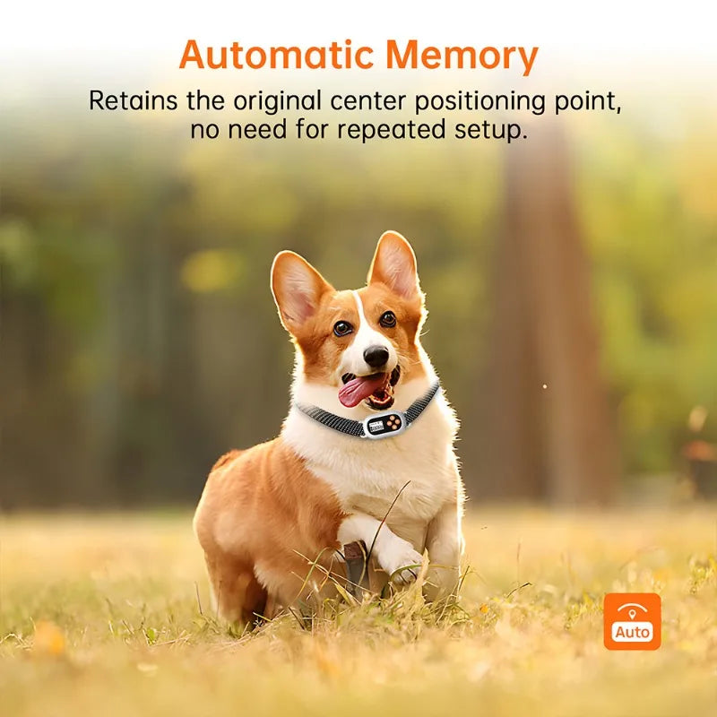 Pet GPS Collar Waterproof White