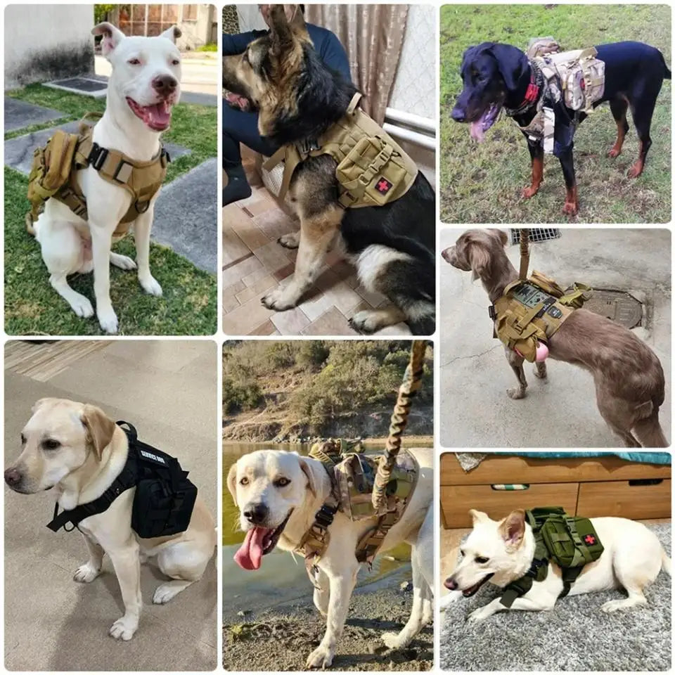 Pet Harness Green Medium